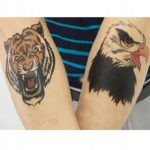 5ef8e1d7515f3f1dcb9e268b918fd684