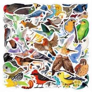 e93c6b08bb5b5bc359f35ad33d60a434