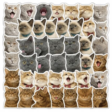 53564b0b6c5cc50ab6430f96efe3a778