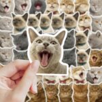 54bcce75a34b17309b5b1b8096fb85df