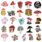 a8af5a554c1915506370ea61a85a75e0