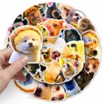 68861891c30b7b6dd724735cc72b74d5