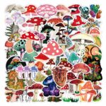 0161eda53ff33257d8c66f8fc7579948