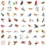 3a79345570dbef7e9b74e7b289a13bf5