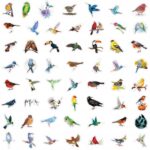 48804599d3c3148da6a784ab88787300