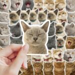 8099e184d4984c315a85a54a070829da