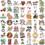 e943b2d619d36829dbfc2edd0fc1bc38