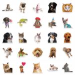 6c68f7c609c8538ea6cdc7219cadbb05