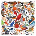 1b43c2f36ee56200f0bbcff89f0e51e1