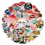 cb3d3e711443e9b4163addc980feccef