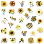 e84b7247e44c9e365ed135afd227178c