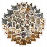 f7dd3aff2c27e500448a538e0fdf983a