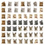 72aa639a5209fa20deb497548943b9c9